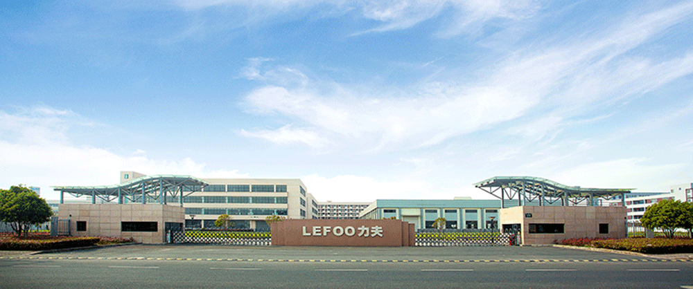 LEFOO kültürü