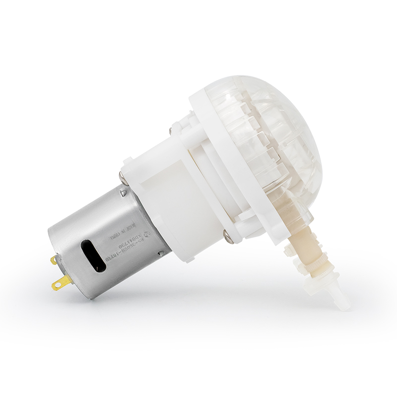 DC Motor peristaltik pompa LFP202/DB (akış aralığı: 10-110 ml/dakika)