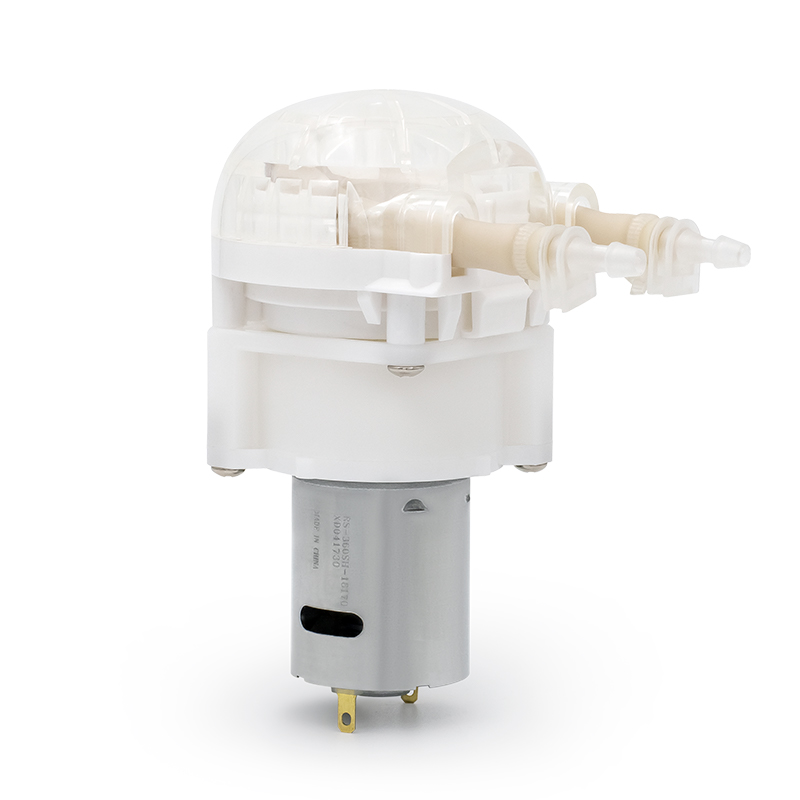 DC Motor peristaltik pompa LFP202/DB (akış aralığı: 10-110 ml/dakika)