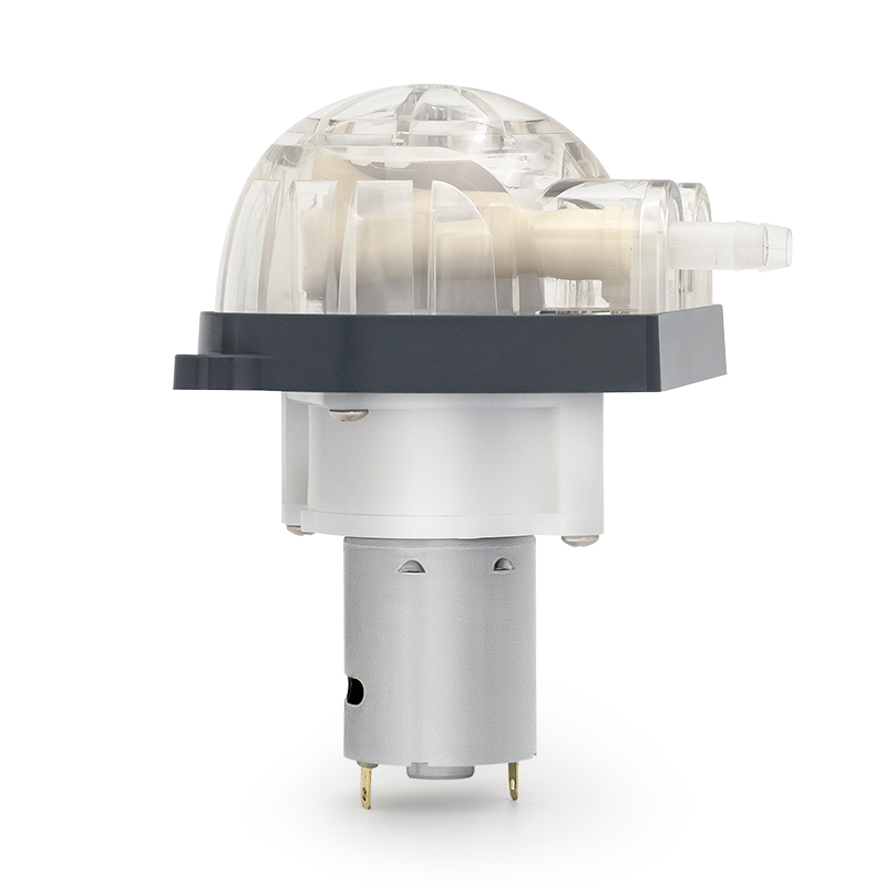 DC Motor peristaltik pompa LFP303/DB (akış aralığı: 35-280 ml/dakika)