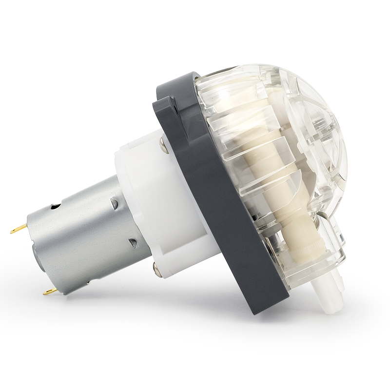 DC Motor peristaltik pompa LFP303/DB (akış aralığı: 35-280 ml/dakika)