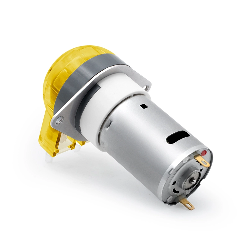 DC Motor peristaltik pompa LFP102/DB (akış aralığı: 9-110 ml/dakika)